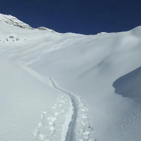 Bergkristall فندق مبيت وإفطار تكس